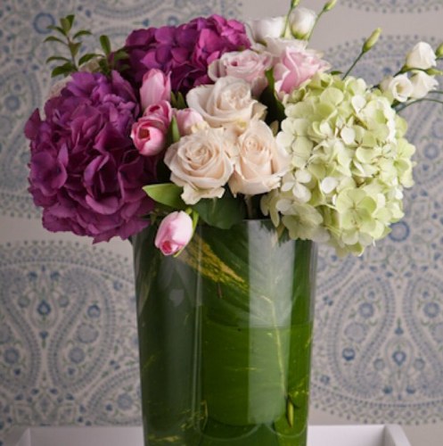 novembertweets's profile picture. desserts and flowers