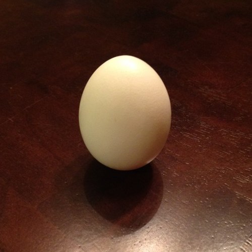 mismanagedtime's profile picture. 