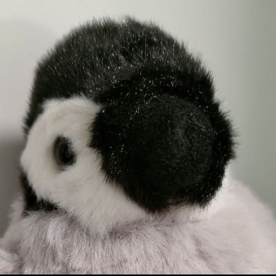 YDwxy93409's profile picture. TUS-1B1
天文研
作サー
天文アカウント↓