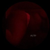 ms.fatbutt🎀 (@stxrfiretrnny) 's Twitter Profile Photo