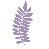 Jacaranda Books (@jacarandabooks) 's Twitter Profile