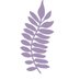 Jacaranda Books (@jacarandabooks) Twitter profile photo Jacaranda Books (@jacarandabooks) Twitter profile photo