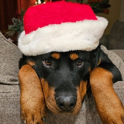 jake99hive's profile picture. 