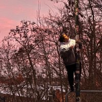 Amber | Maza 10 & Winkler 22 SZN | R.I.P Kay 🕊️ (@xan_030) Twitter profile photo