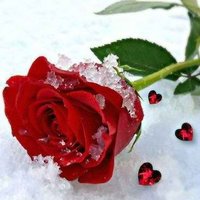 Molitva Duse (@molitvaduse) 's Twitter Profile Photo Molitva Duse (@molitvaduse) 's Twitter Profile Photo