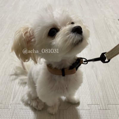 ありちゃんさんのプロフィール画像