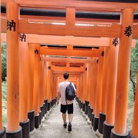 celsio (@celsioex) 's Twitter Profile