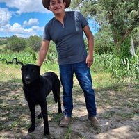 Jhon Cinéfilo (@jhonpf1) 's Twitter Profile