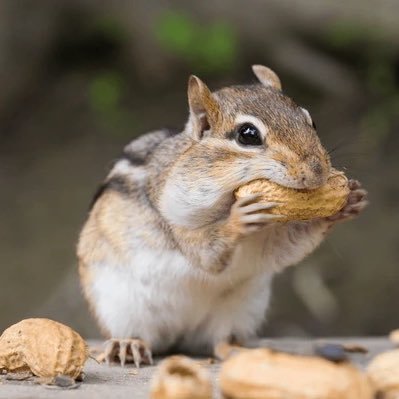 biotechbillions's profile picture. 