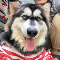 Simon (@simon16200) 's Twitter Profile