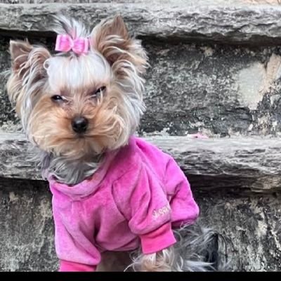 BuscandoaCloe's profile picture. 