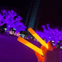 木曽㍋ネ (@kisomegane) 's Twitter Profile
