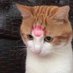 ⁵¹⁵ (@515hr515) Twitter profile photo ⁵¹⁵ (@515hr515) Twitter profile photo