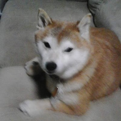 RosalieRic84619's profile picture. 