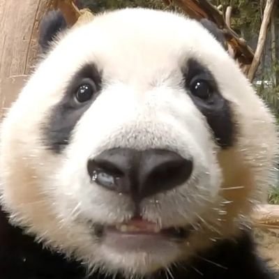 skfmsgkqslek's profile picture. 