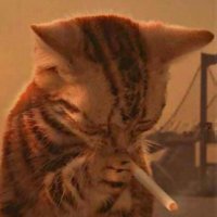 Frank π¨π² (@smith_ffff) 's Twitter Profile