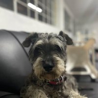 Naruto luky! (@gc_naruto_luky) 's Twitter Profile Photo