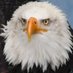 I can't believe it's real (@isthisendtimes) Twitter profile photo I can't believe it's real (@isthisendtimes) Twitter profile photo