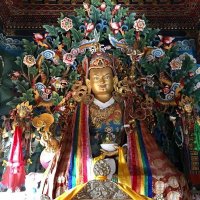 pemarinchen (@pema9243) 's Twitter Profile