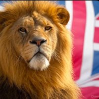 AnonymousBrit🇬🇧🇮🇱🎗️ (@bringgbback) 's Twitter Profile
