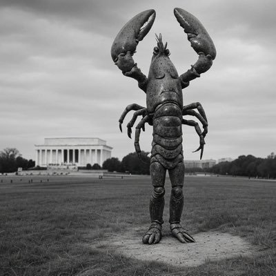 JoeBidenOffices's profile picture. you can be armed, racist, whatever.   or you can be dead.  never relax.   the only world map I recognize is from 1890. The airplane was a mistake