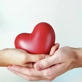 zBUMeAEwPRpGF3X's profile picture. 💖✨ Giving back makes a difference! Whether it's your time, resources, or support, every little bit counts. Join us in spreading kindness and helping those in n