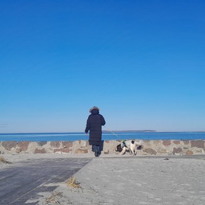 just here to follow people and interact to hopefully broaden my horizon 🌞🔬Sherlock is a happy dog (I hope !) 🐎🐾#shortfilm 🎶 🌎 @ciwf @fairphone #science🌄