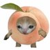 peachy ≽^•⩊•^≼ (@peachypityparty) Twitter profile photo peachy ≽^•⩊•^≼ (@peachypityparty) Twitter profile photo