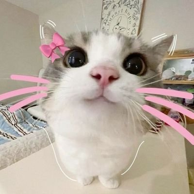 iLynnwx's profile picture. Farmácia (3/10)