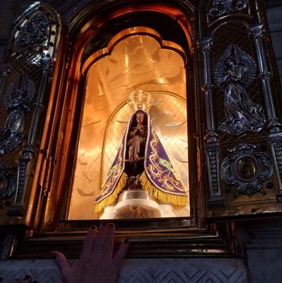 Bonassis183344's profile picture. 