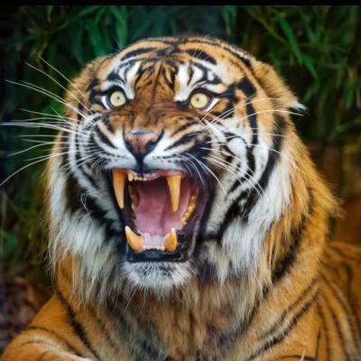 see_eric's profile picture. 