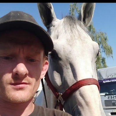 miks6645's profile picture. 
