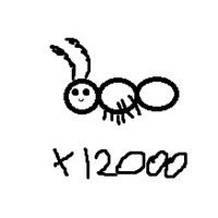 ants 🦷🐜 (@12000__ants) 's Twitter Profile