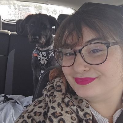 bavajadass's profile picture. muppet man