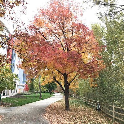 feminution's profile picture. 