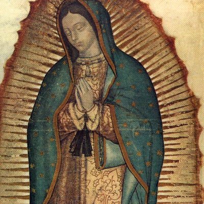 Praktykan_'s profile picture. 