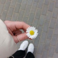 . (@smyhhmd064) 's Twitter Profile