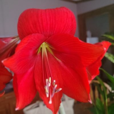 Angela342194499's profile picture. 