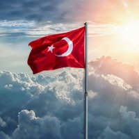 Elif Begüm (@elif_begum_) 's Twitter Profile Photo Elif Begüm (@elif_begum_) 's Twitter Profile Photo