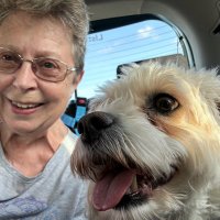Jemima Puddledog & Mum (@jemima114) 's Twitter Profile