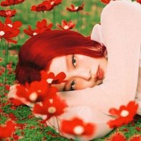 like aguss;🌹 (@luvvjnn) 's Twitter Profile