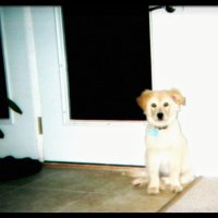 cooperhawk21 (@hulseywill67671) 's Twitter Profile Photo