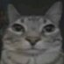 Alicja (@alicja69pl2137) Twitter profile photo Alicja (@alicja69pl2137) Twitter profile photo