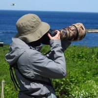 Steph Murphy (@stephmurphy66) 's Twitter Profile Photo Steph Murphy (@stephmurphy66) 's Twitter Profile Photo