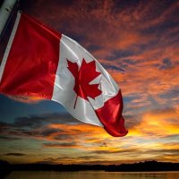 Rob 🇨🇦 (@robg_16) 's Twitter Profile