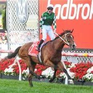 A racehorse’s pedigree came well before the racetrack and created not all thoroughbreds equal. WinningPedigrees put the odds in your favour!