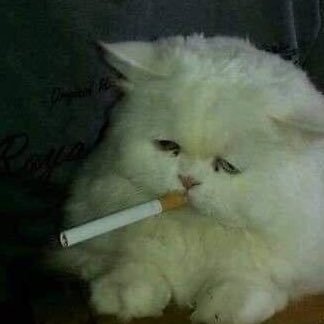 _no__108__'s profile picture. // 本業音響趣味音楽. // その他イベントのお話. // 🚬. //