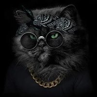 Onpyxx (@onpyxfn) 's Twitter Profile