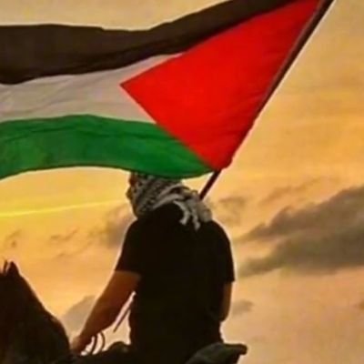 نعم لمحور المقاومة وافتخر لأني فلسطيني صاحب اكبر قضية في العالم وأفتخر لأني من بيئة المقاومة