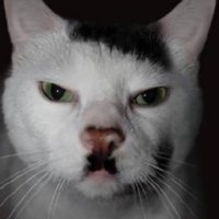 Timothy (@tj9422c) 's Twitter Profile